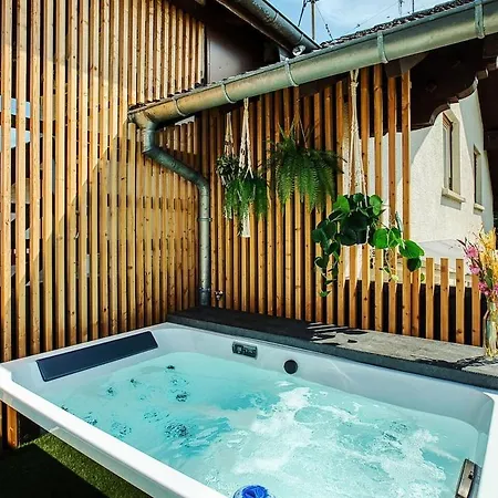 Apartmán Sejour Detente - Sauna - Strasbourg 15mn