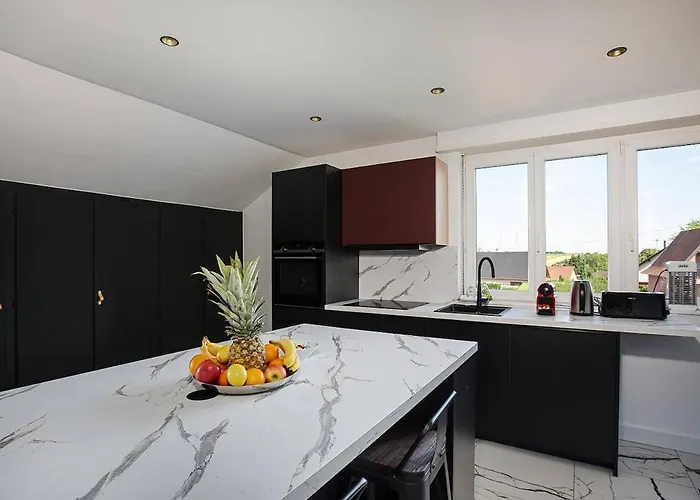 Apartment Sejour Detente - Sauna - Strasbourg 15mn *