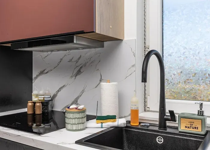 Apartment Sejour Detente - Sauna - Strasbourg 15mn